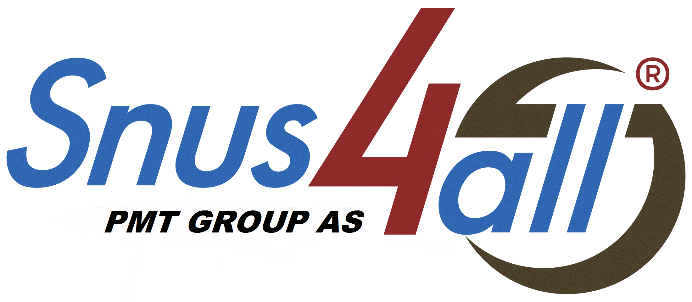 PMT-GROUP AS logo